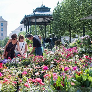 Gand, marché aux fleurs