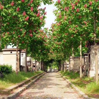Circuit Paris et le Père Lachaise