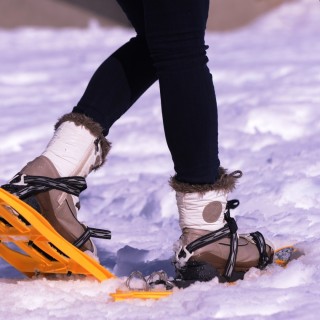 Séjour en Laponie Suédoise