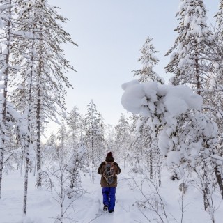 Séjour en Laponie Suédoise