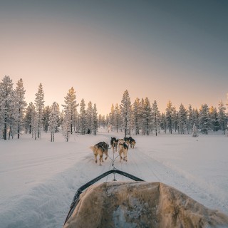 Séjour en Laponie Suédoise
