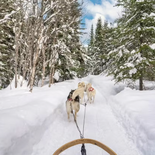 Séjour en Laponie Suédoise