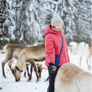 Séjour en Laponie Suédoise
