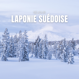 Séjour en Laponie Suédoise