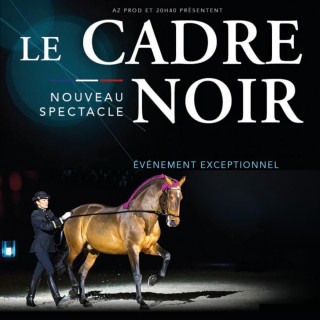 Spectacle le Cadre Noir à Rouen