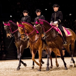 Spectacle le Cadre Noir à Rouen