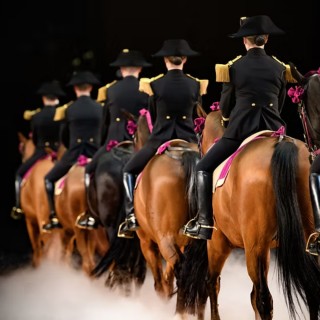 Spectacle le Cadre Noir à Rouen