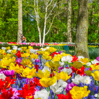 Séjour aux Pays Bas