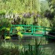 Giverny et Rouen