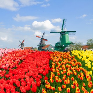 Zaanse Schans et Volendam