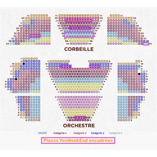 Spectacle Le Roi Lion