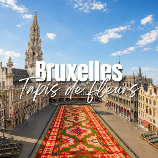 Tapis de fleurs - Bruxelles