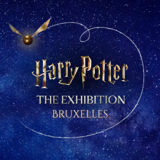 Exposition Harry Potter + Bruxelles en liberté