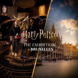 Exposition Harry Potter + Bruxelles en liberté