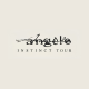 Concert Angèle