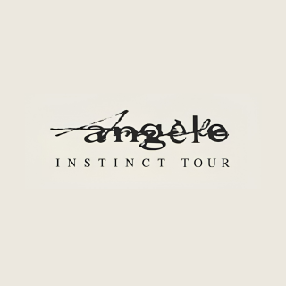 Concert Angèle