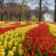 Parc Keukenhof