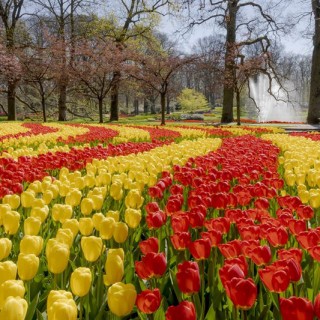 Parc Keukenhof