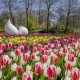 Parc Keukenhof