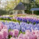 Parc Keukenhof