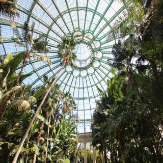 Les serres royales de Laeken