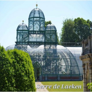 Les serres royales de Laeken