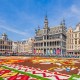 Tapis de fleurs - Bruxelles