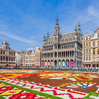 Tapis de fleurs - Bruxelles