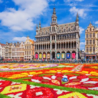 Tapis de fleurs - Bruxelles