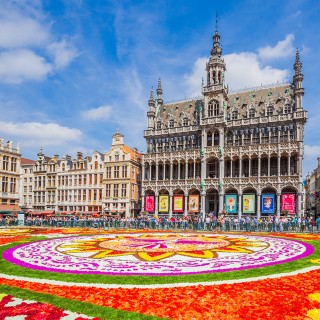 Tapis de fleurs - Bruxelles