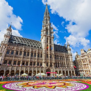 Tapis de fleurs - Bruxelles