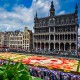 Tapis de fleurs - Bruxelles