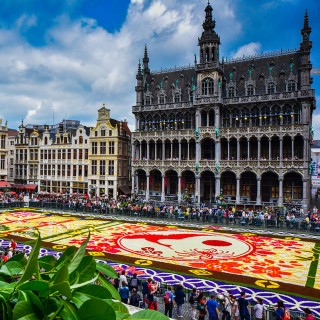 Tapis de fleurs - Bruxelles