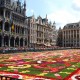 Tapis de fleurs - Bruxelles