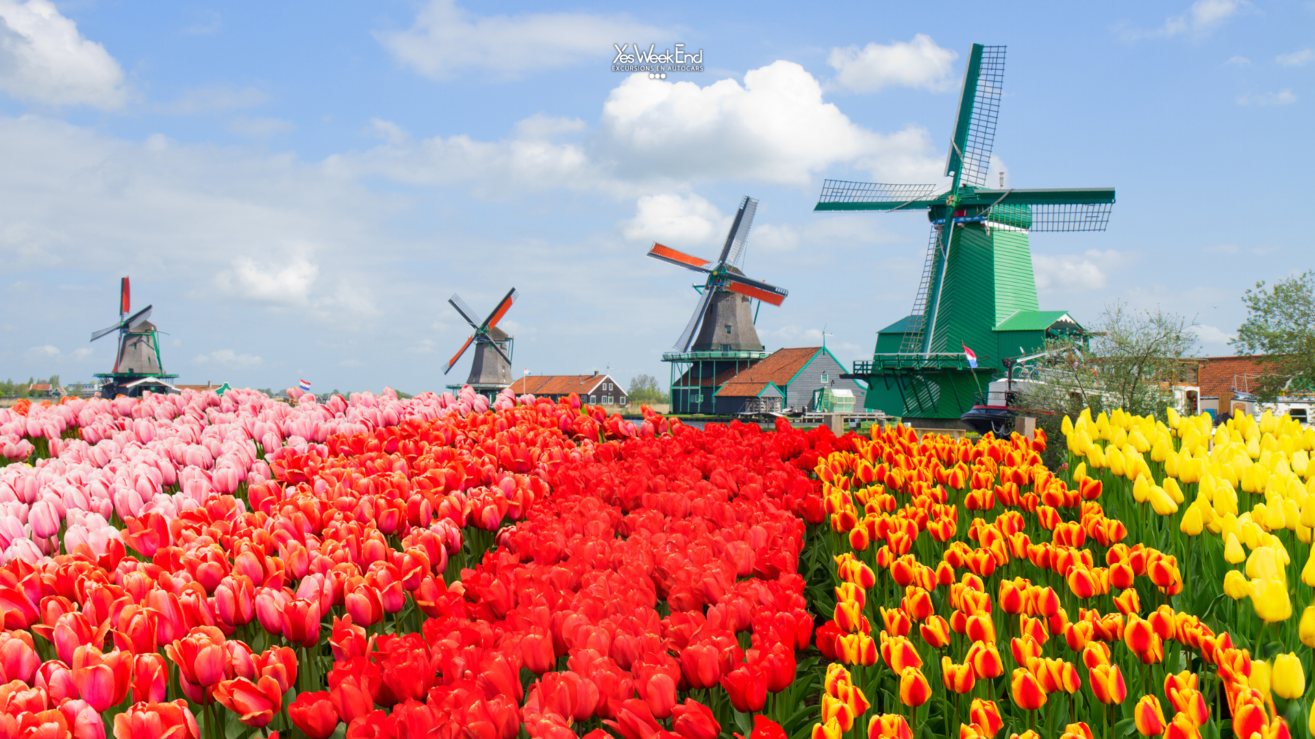 Excursion Zaanse Schans