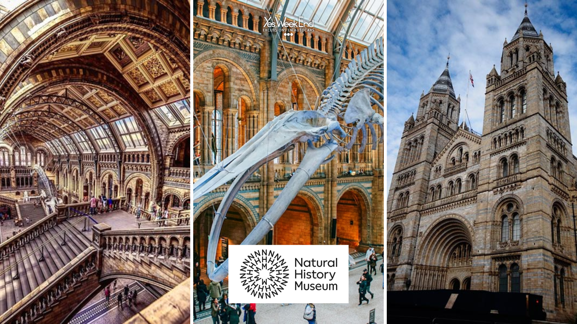 Museum Histoire Naturelle Londres