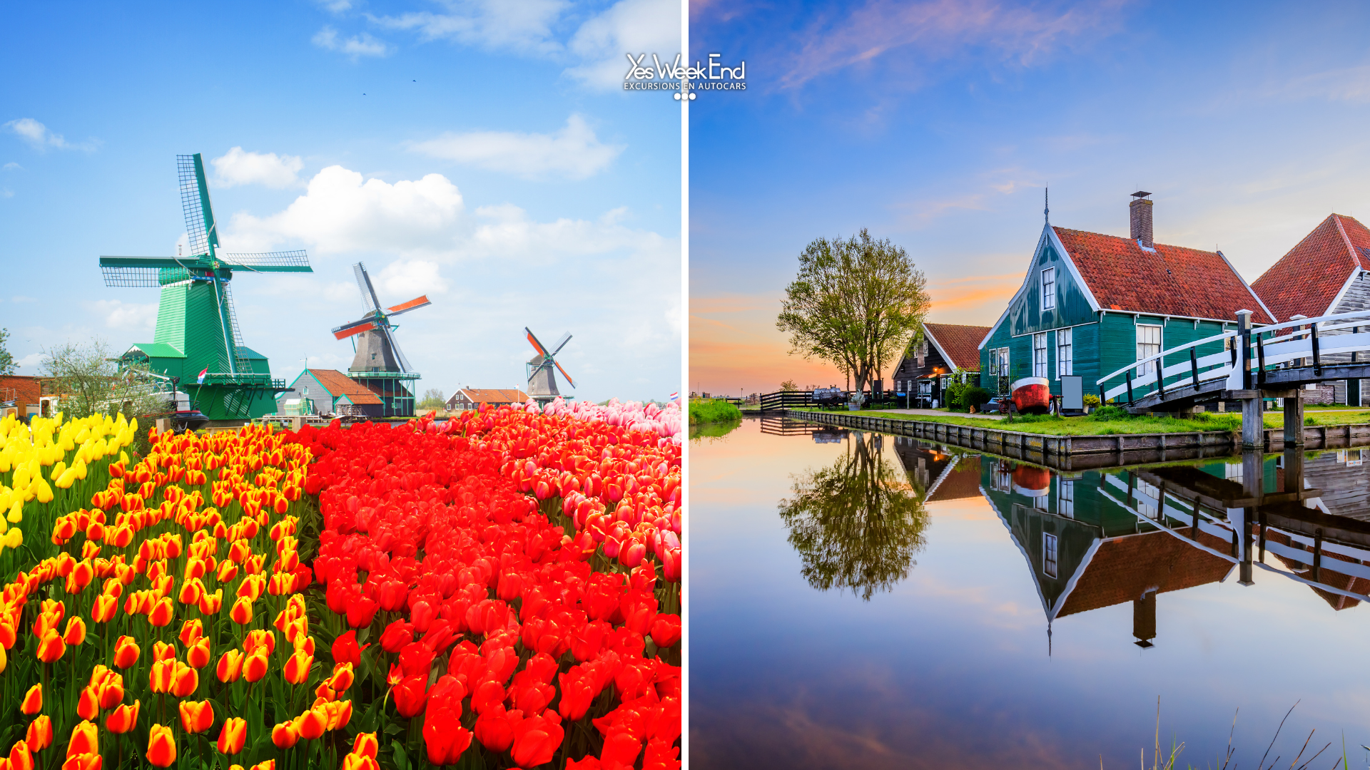 Moulins de Zaanse Schans aux Pays-Bas